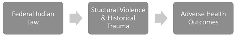 Figure 2: Logic Model Linking Federal Indian Law to Adverse Health Outcomes