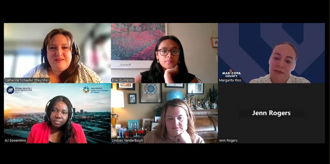 screenshot of webinar panel